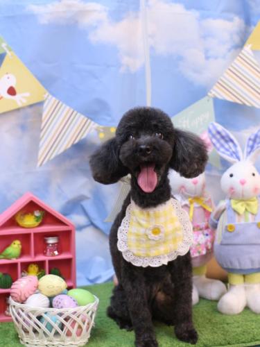 20240324梅ちゃん